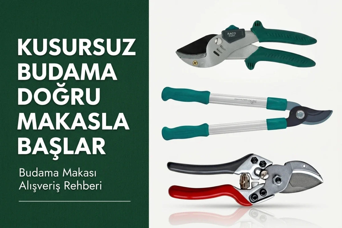 Bahçede bypass budama makası ile yeşil dalları budayan el ve bahce icin en iyi budama makasi kullanımı